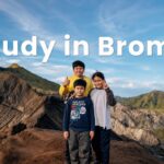 Direct Learning in Bromo Mountain