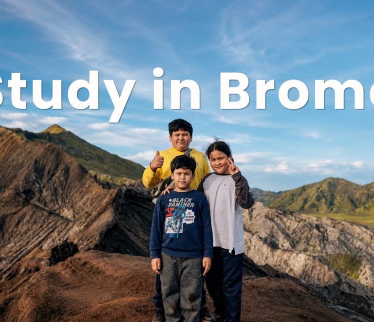 Direct Learning in Bromo Mountain