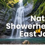 Nature Showehead of East Java