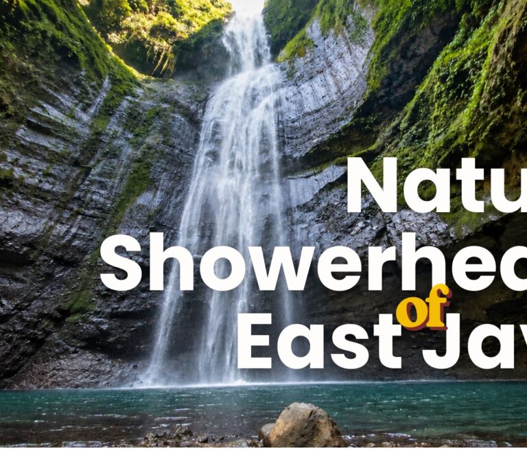 Nature Showehead of East Java
