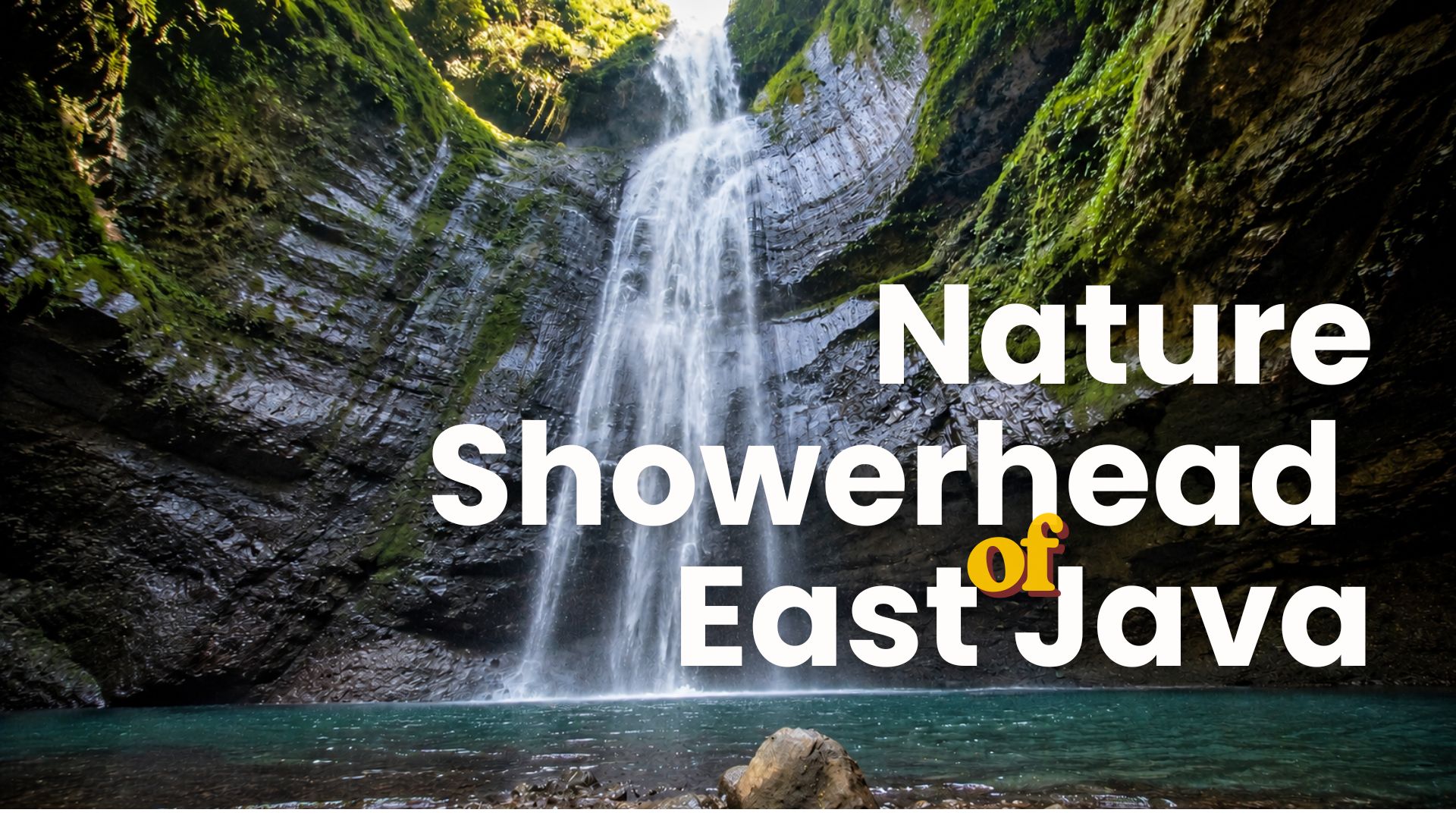 Nature Showehead of East Java