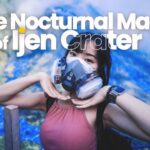the-nocturnal-magic-of-ijen-crater